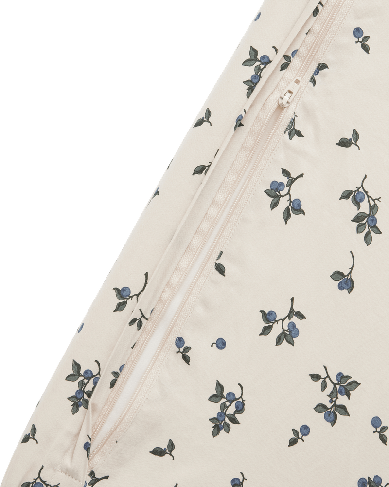 DIMM: Skiptidýna · Blueberry