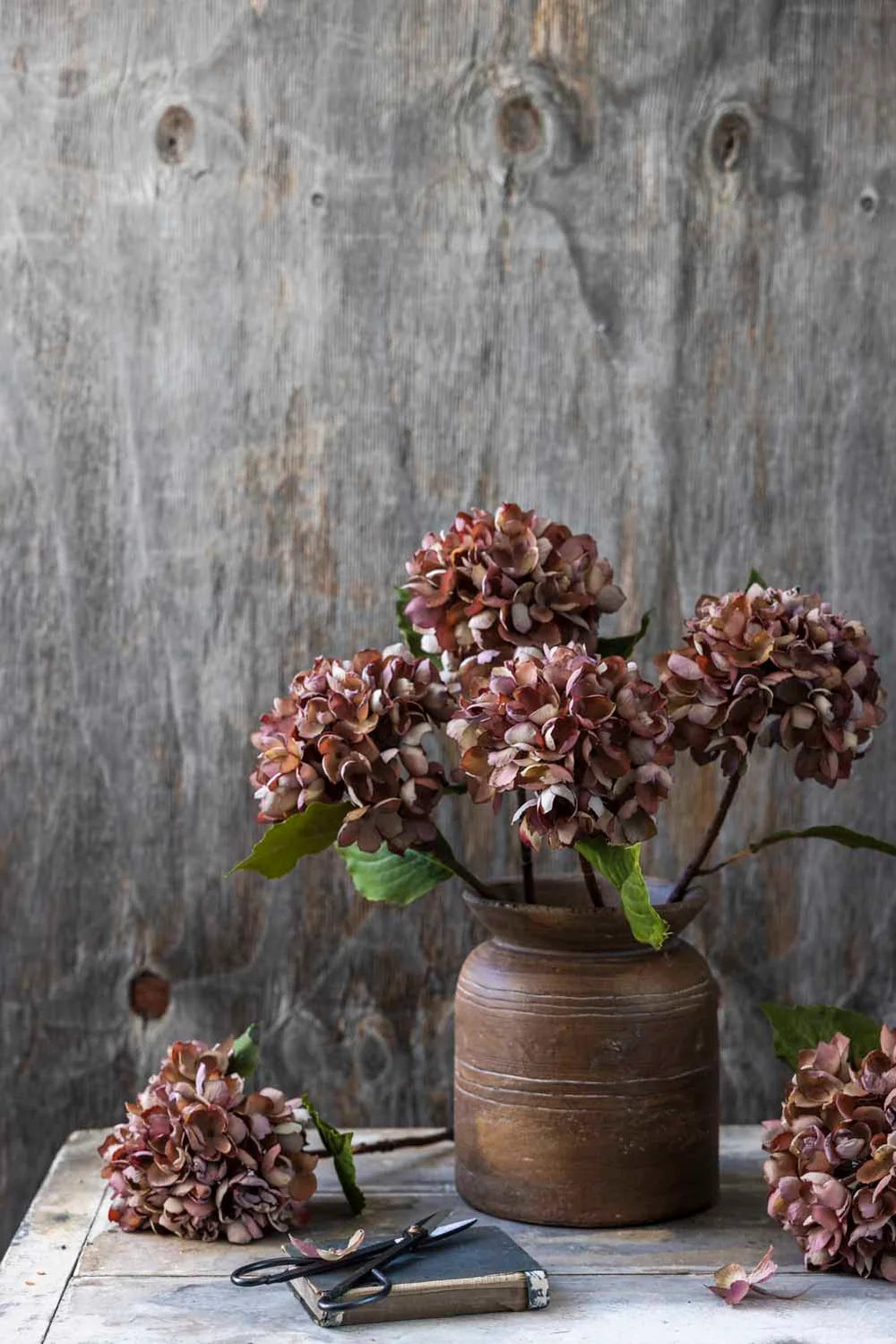 Gerviblóm · Hydrangea · Antique Pink