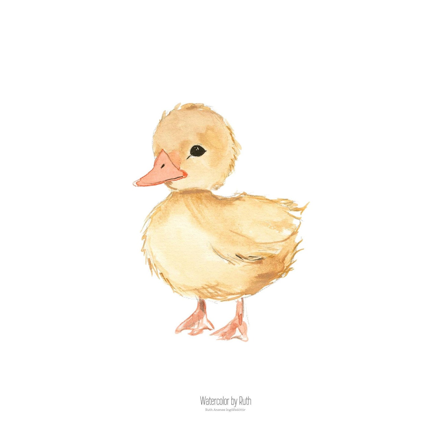 DIMM: Veggspjald · Önd 30x40 cm