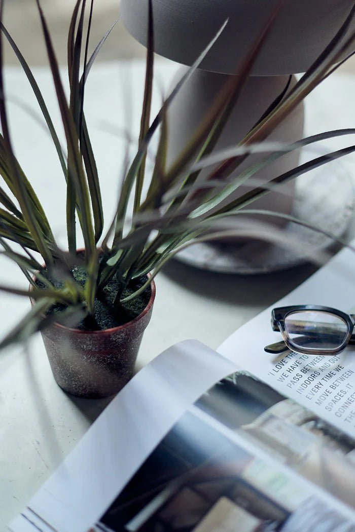 DIMM: Gerviblóm í potti · Ombre Grass