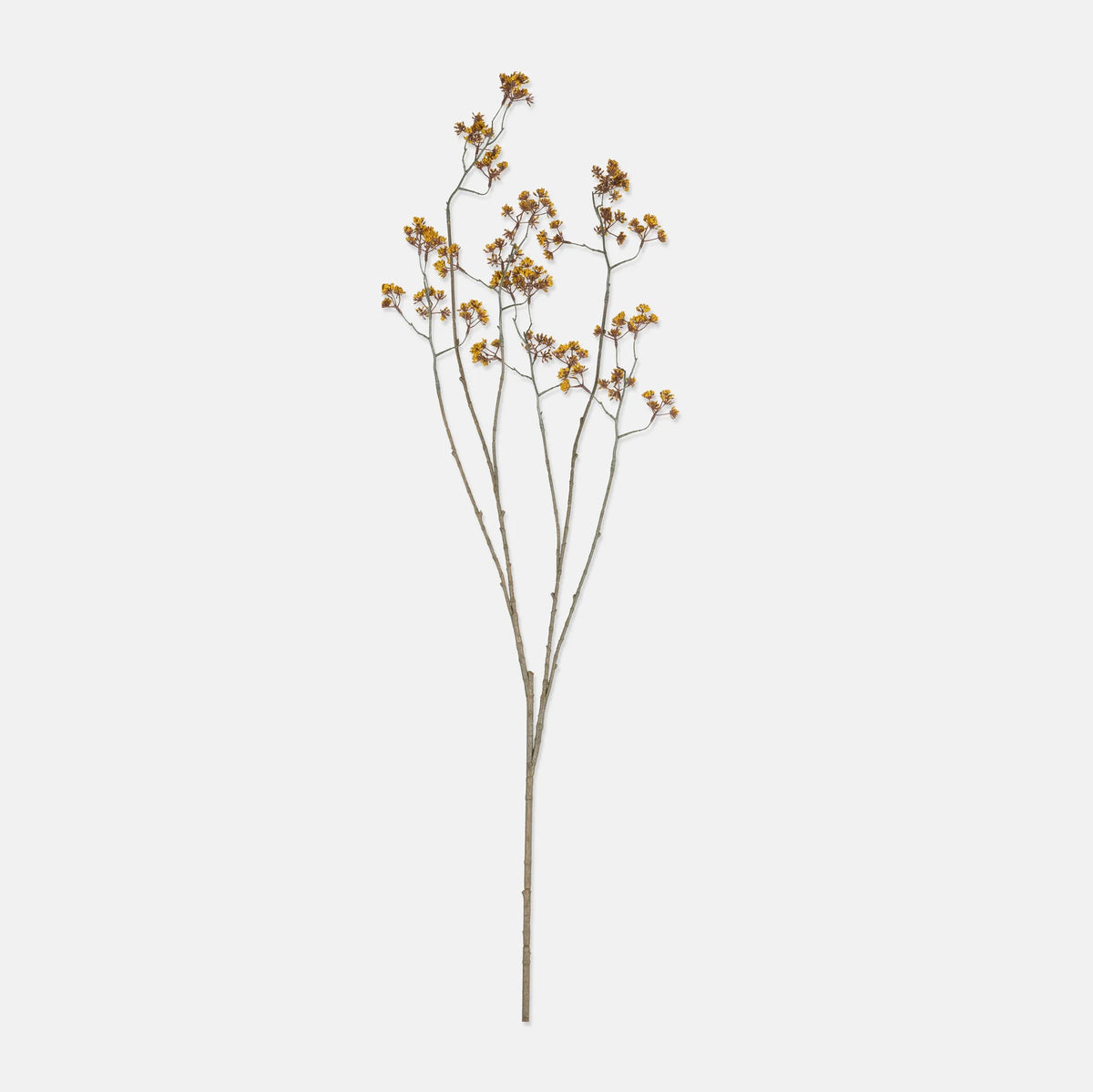 DIMM: Gerviblóm · Dogwood Bough