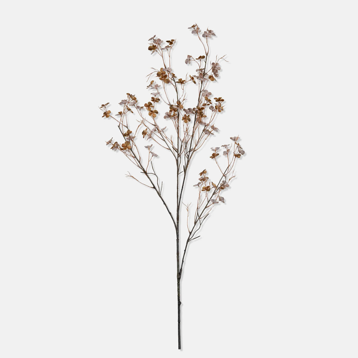 DIMM: Gerviblóm · Hibernal Blossom · Soft Blush