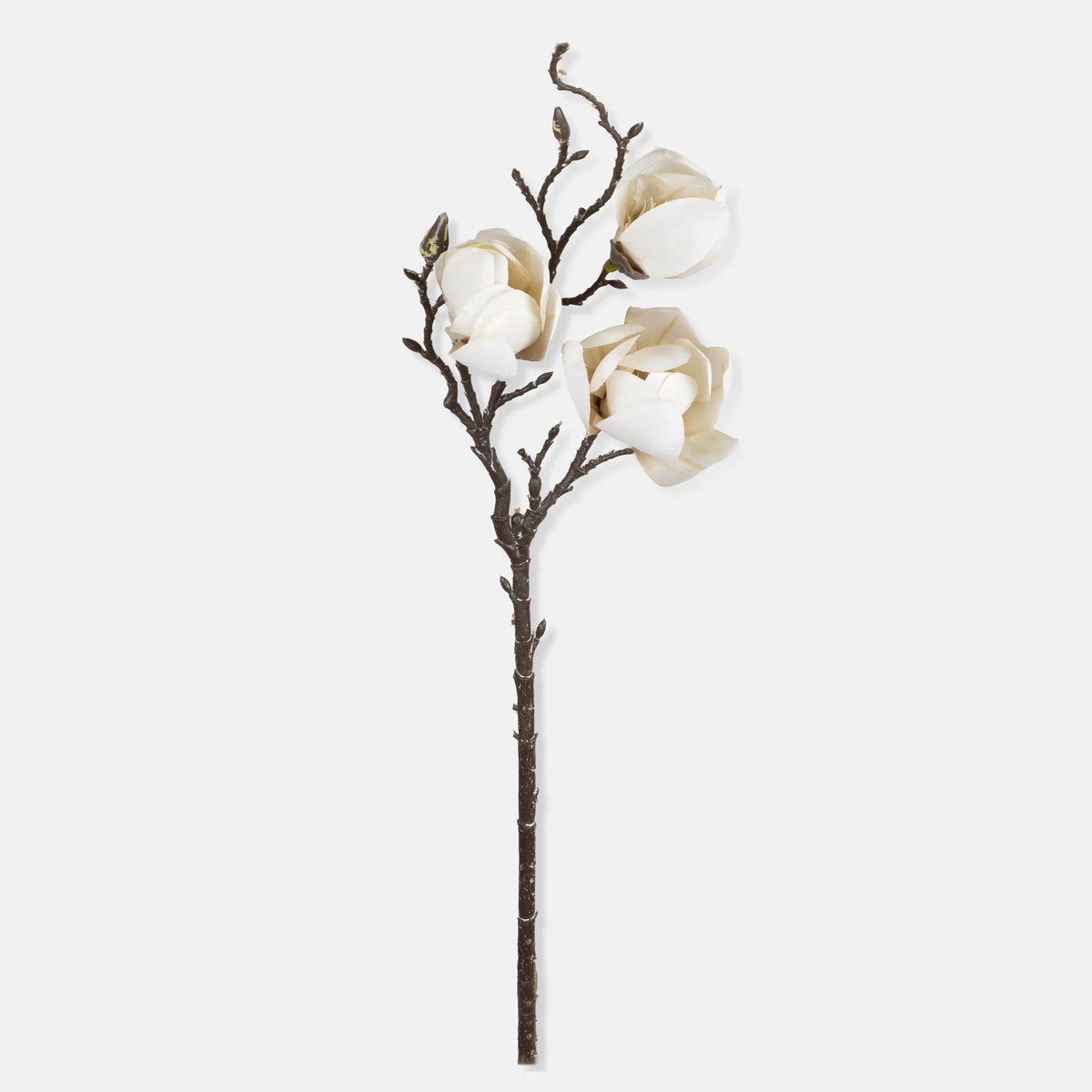 DIMM: Gerviblóm · Magnolia