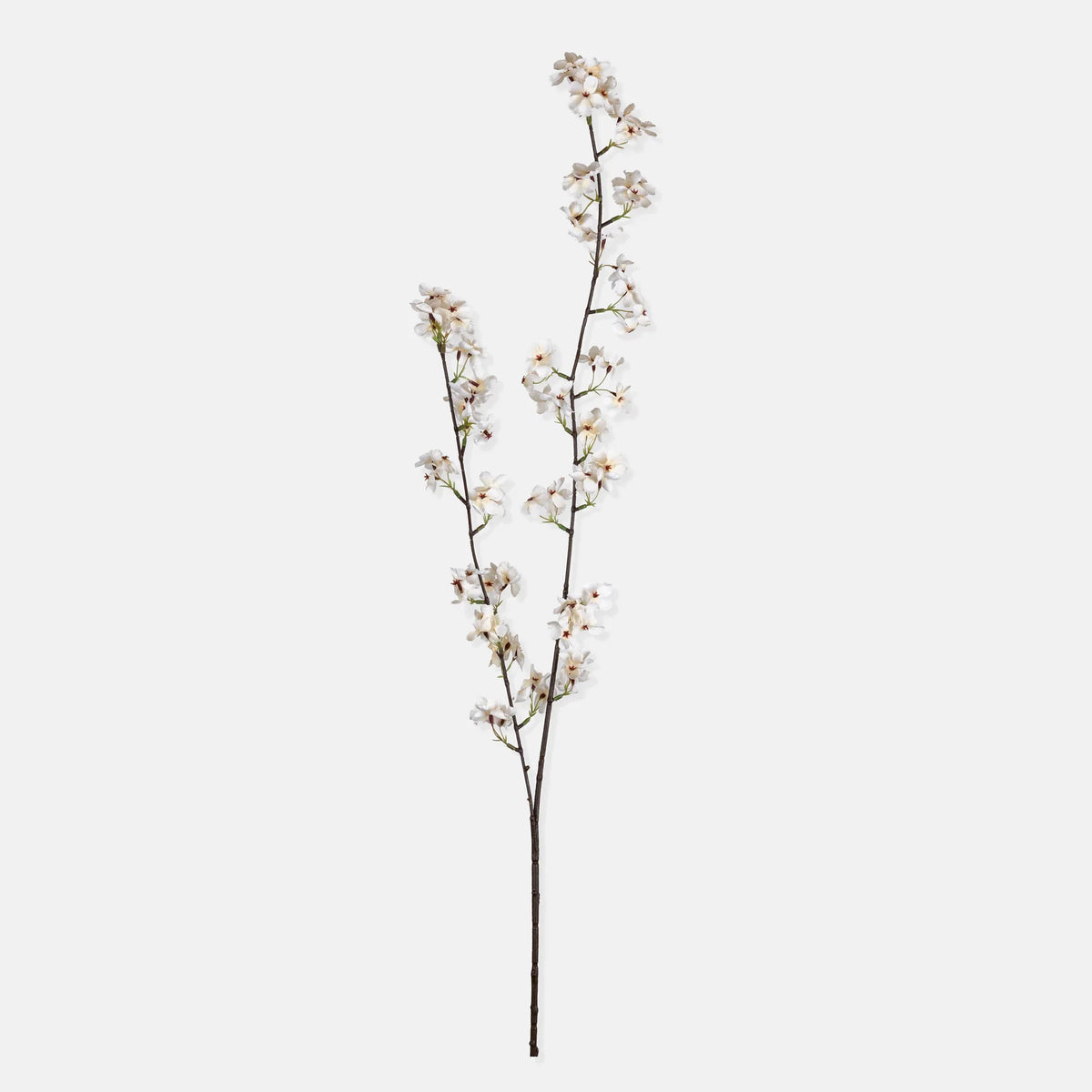 DIMM: Gerviblóm · Pear Blossom