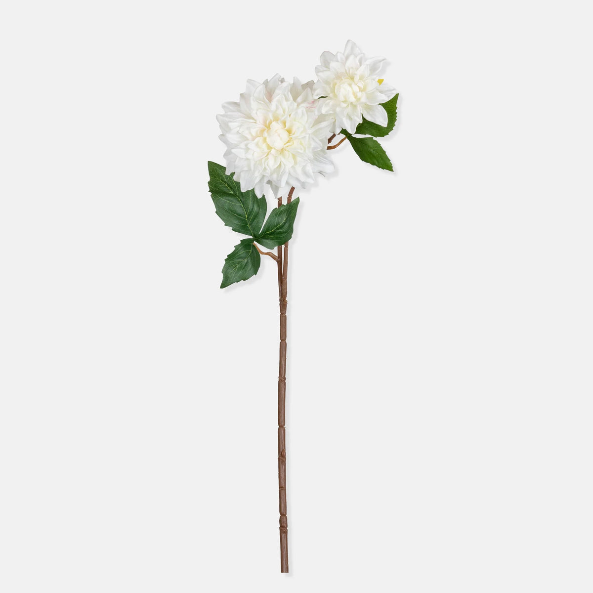 DIMM: Gerviblóm · Real Touch Dahlia · Cream