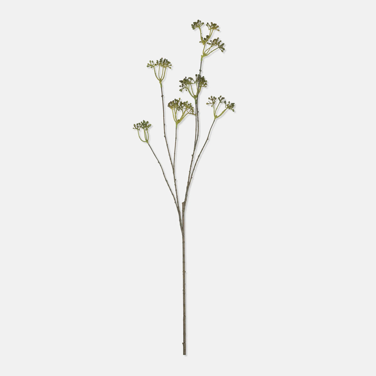 DIMM: Gerviblóm · Wild Viburnum Berry