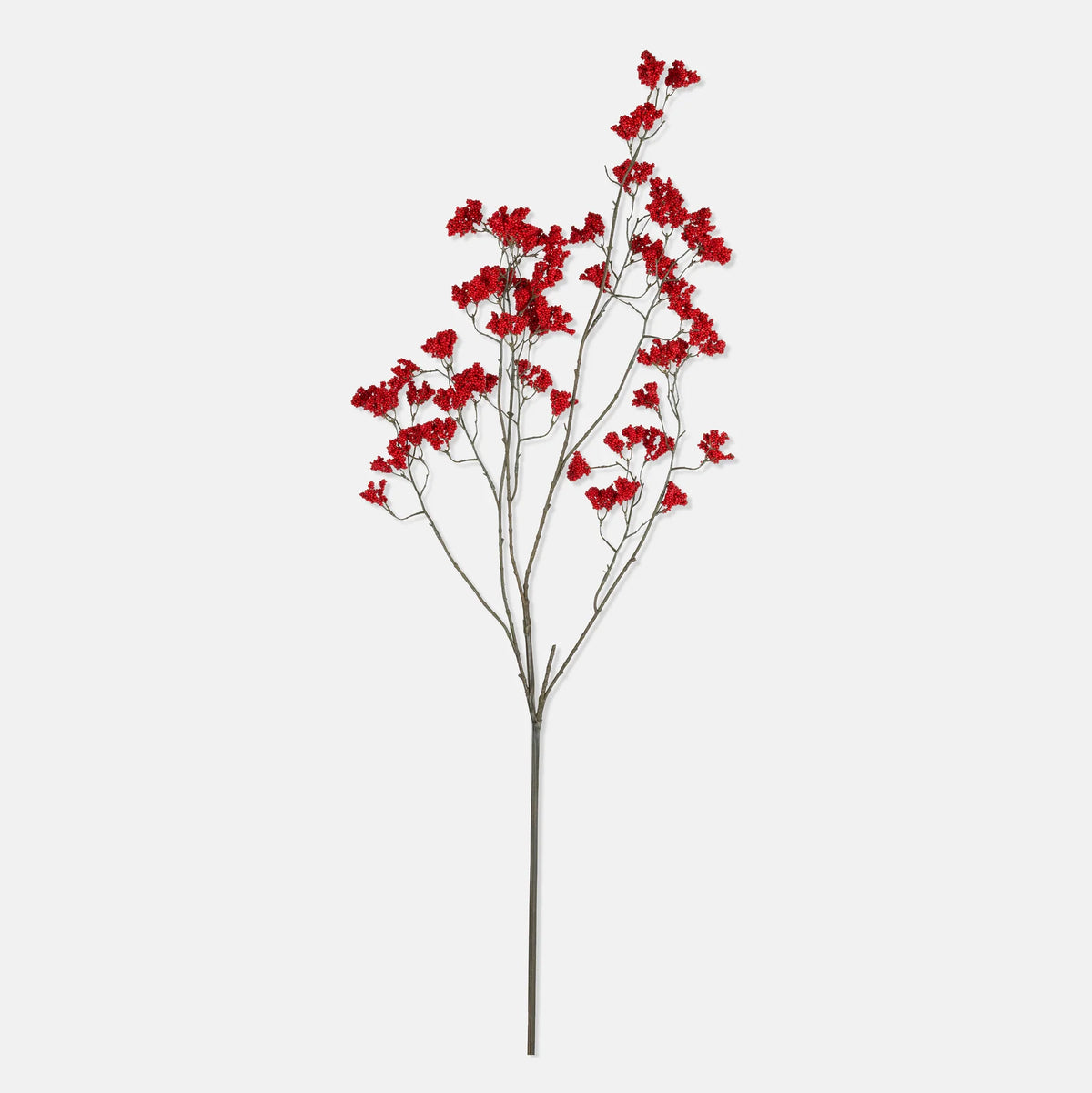 DIMM: Gerviblóm · Wild Winter Berry · Ruby