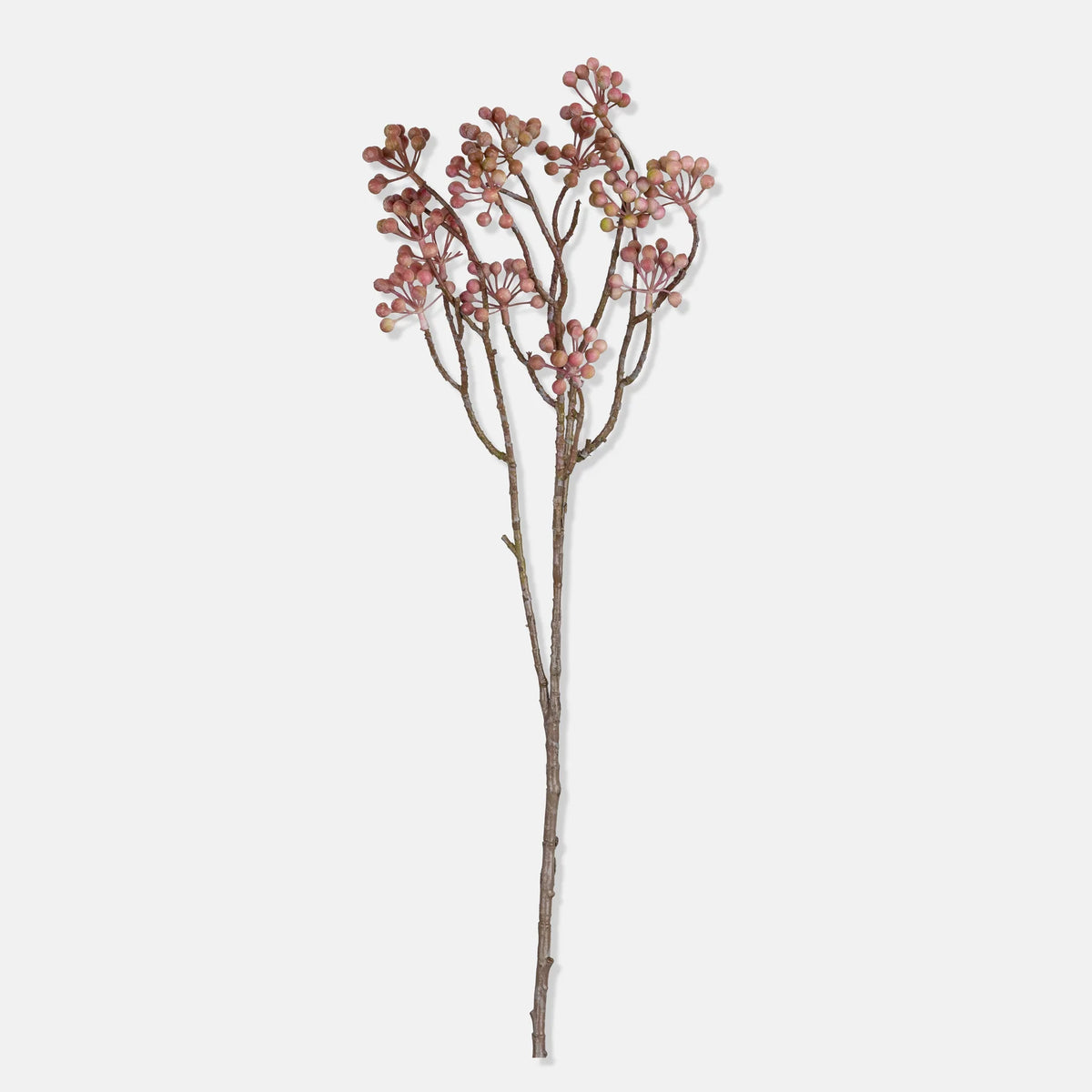 DIMM: Gerviblóm · Woodland Beauty Berry