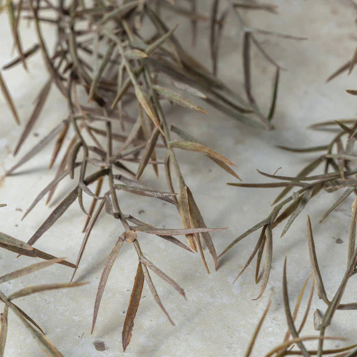 DIMM: Gerviblóm · Honey Bracelet Rust