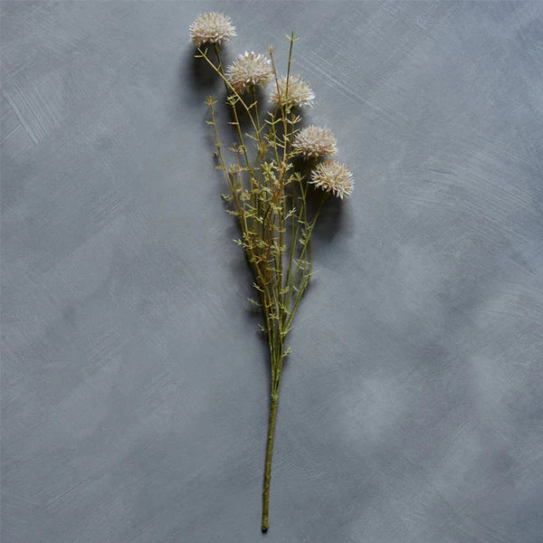 DIMM: Gerviblóm · Melaleuca Cream