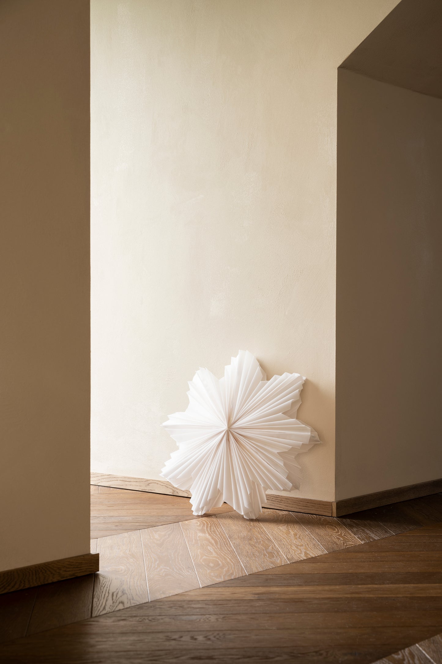 DIMM: Jólastjarna · Daisy · 60cm