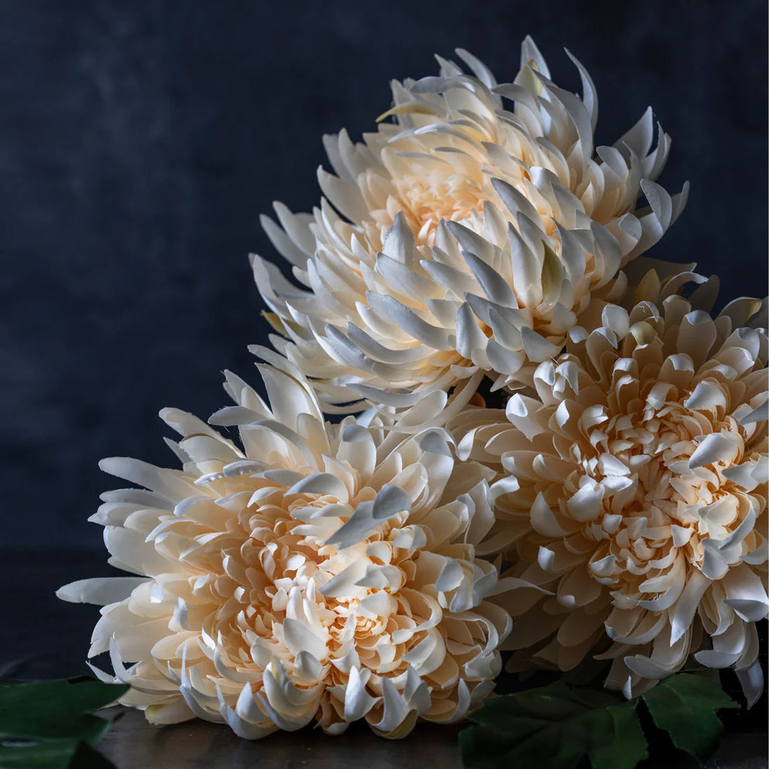 DIMM: Gerviblóm · Chrysanthemum Cream