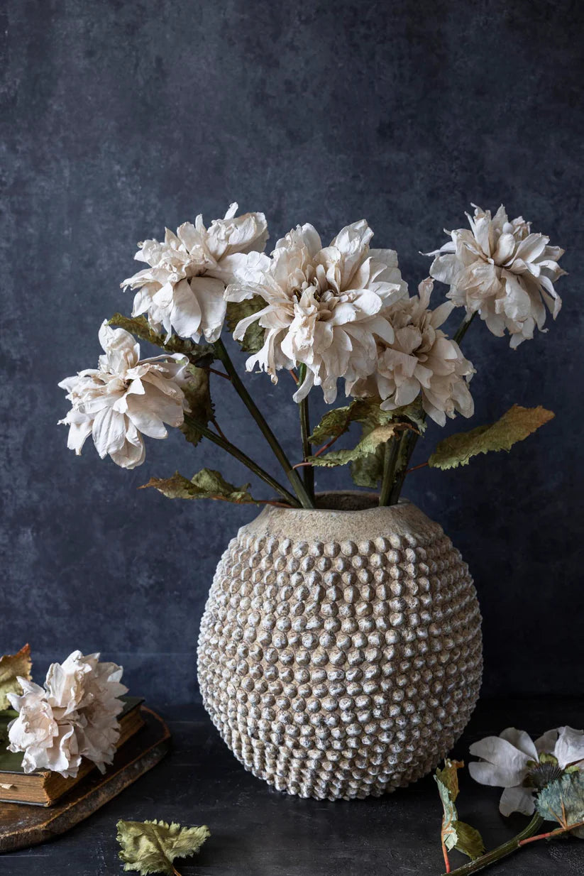 DIMM: Gerviblóm · Dahlia Evening dew