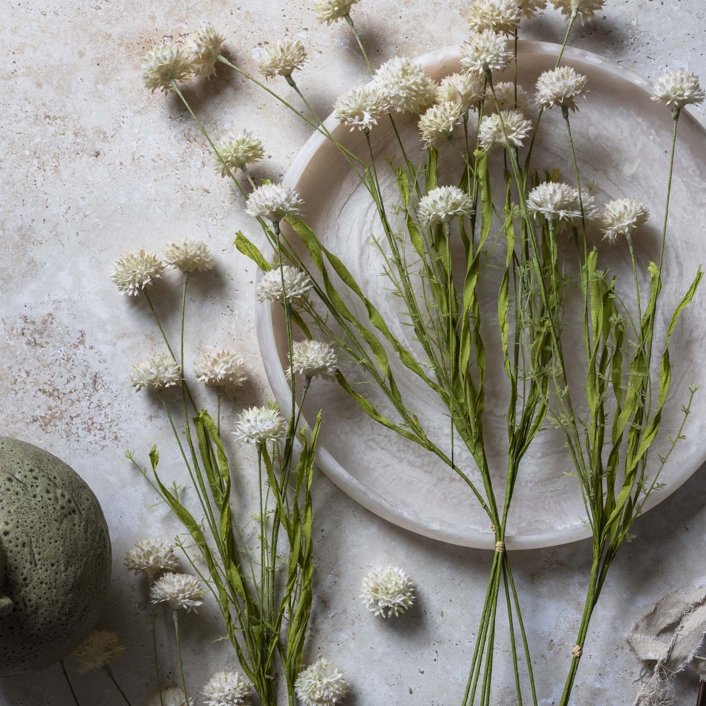 Gerviblóm · Melaleuca Cream · stór