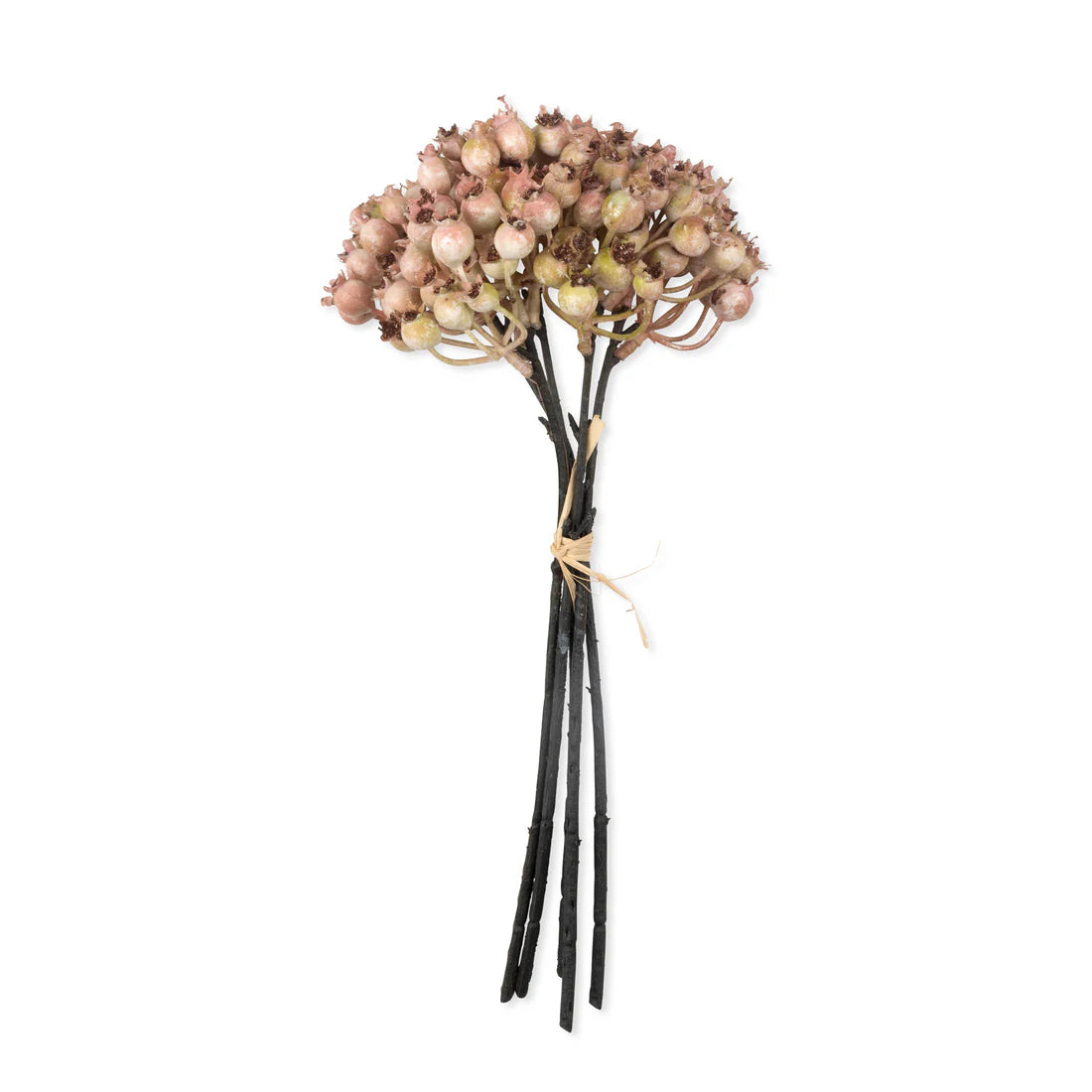 DIMM: Gerviblóm · Rosehip Bunch Blush