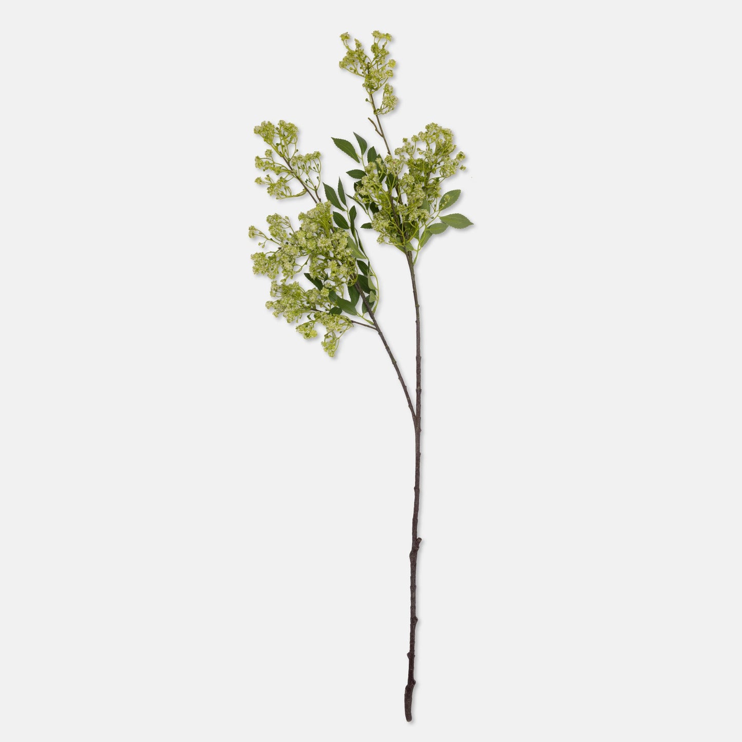 DIMM: Gerviblóm · Summer Garden