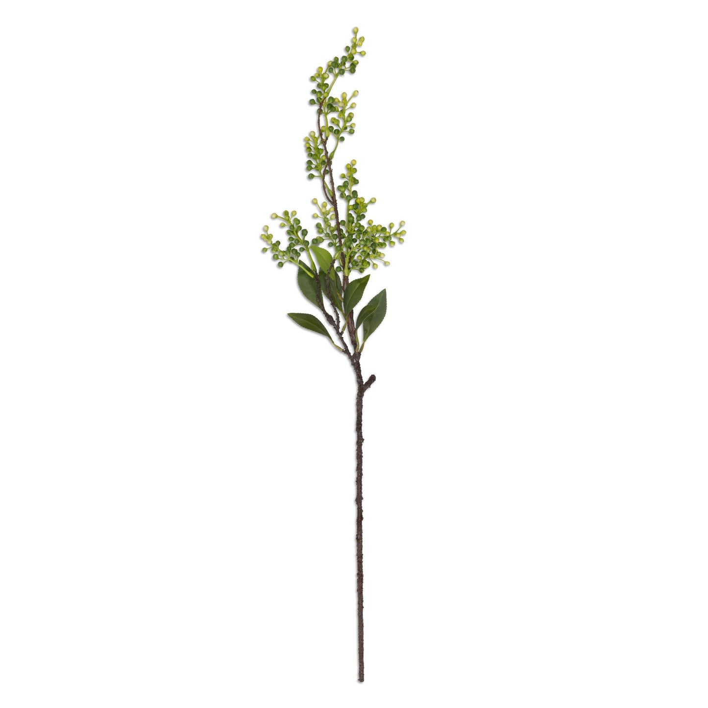 DIMM: Gerviblóm · Viburnum