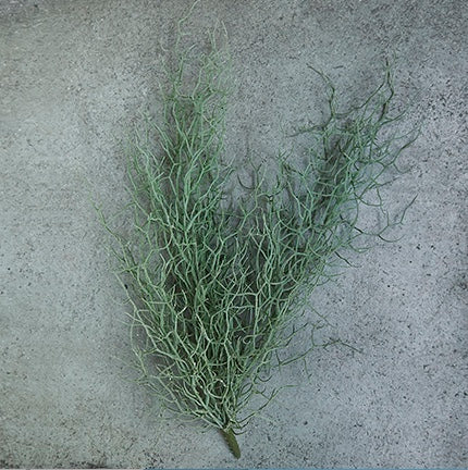 DIMM: Gerviblóm · Grass bush