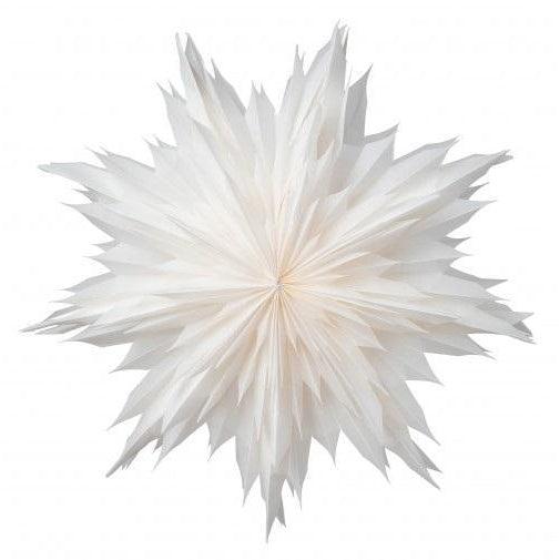 DIMM: Jólastjarna · Oslo · 60cm