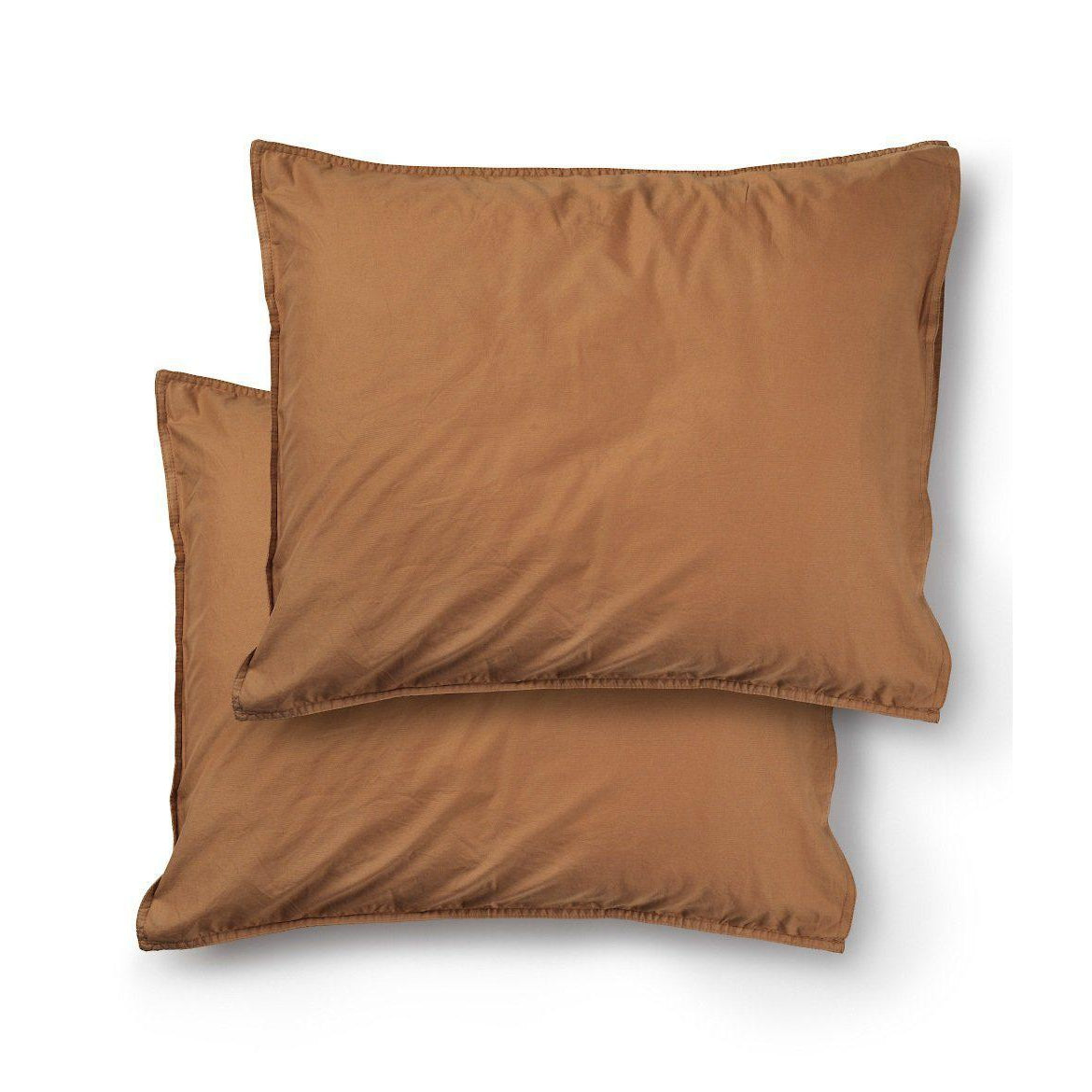 DIMM: Koddaver · 2pk · Dromedary