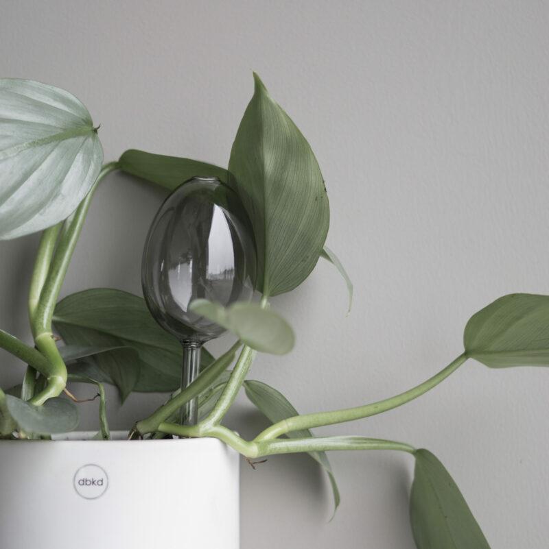 DIMM: Vatnsdropi · Green