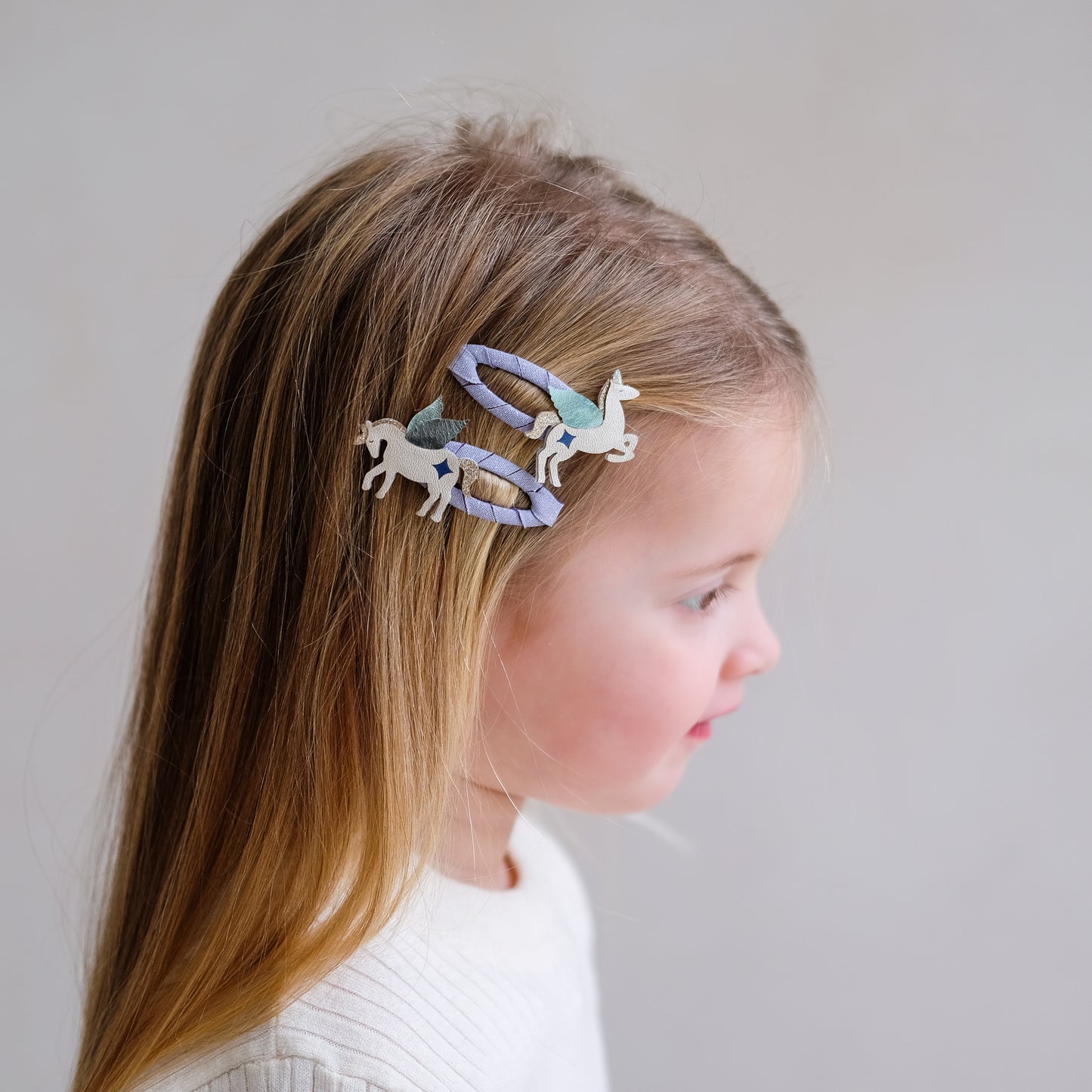 DIMM: Hárspennur · 4 stk · My little unicorn