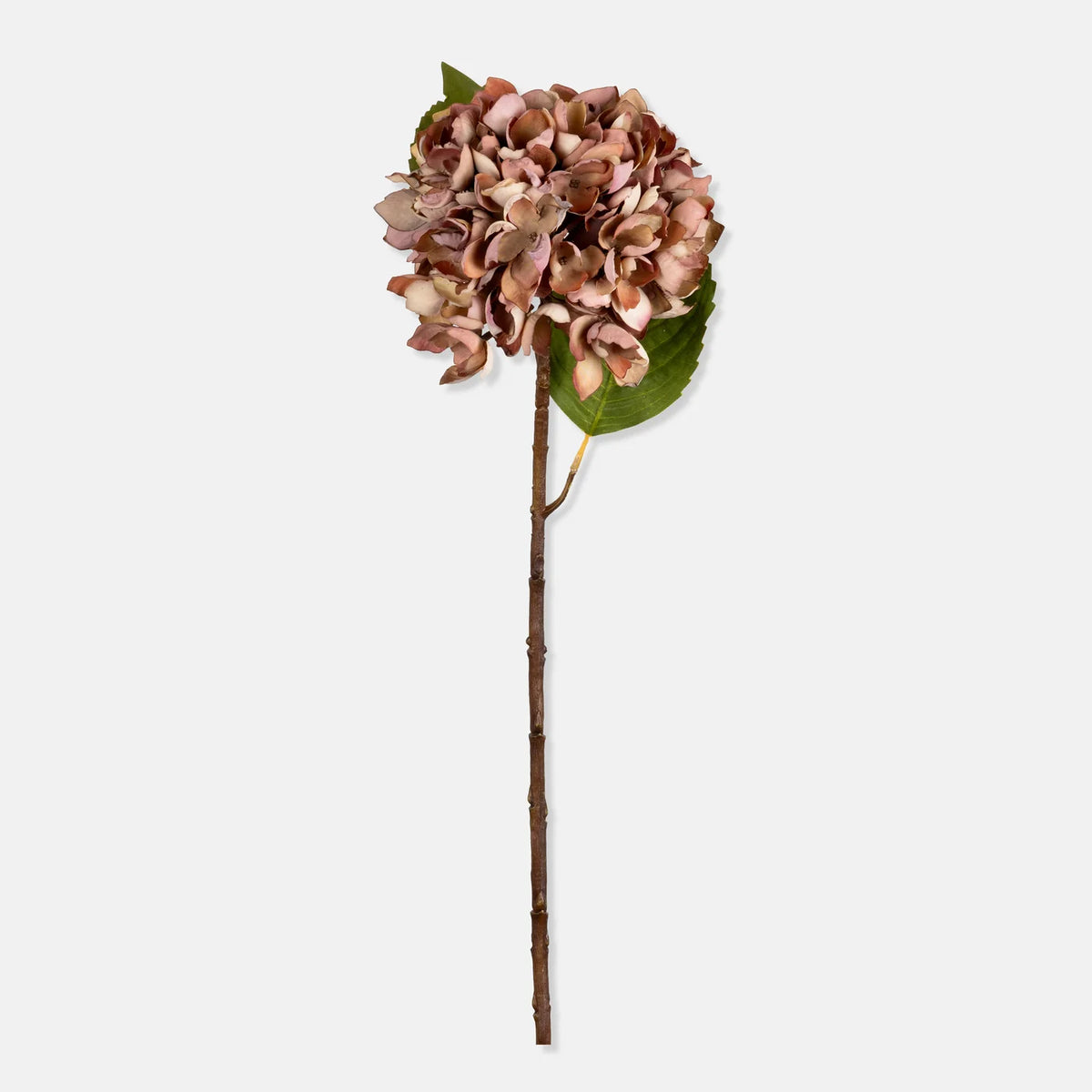 Gerviblóm · Hydrangea · Antique Pink