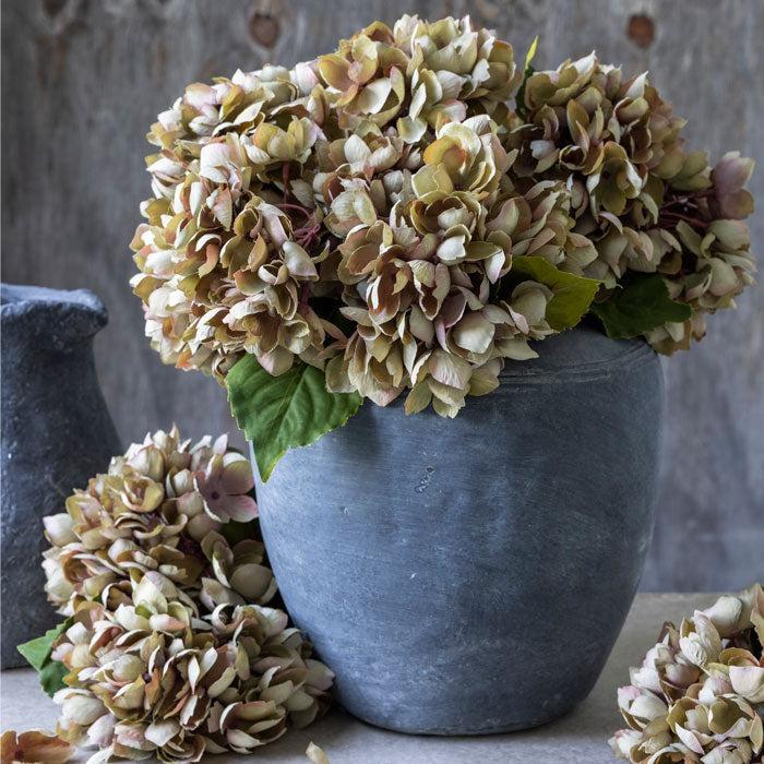 DIMM: Abigail Ahern gerviblóm · Hydrangea Dusk