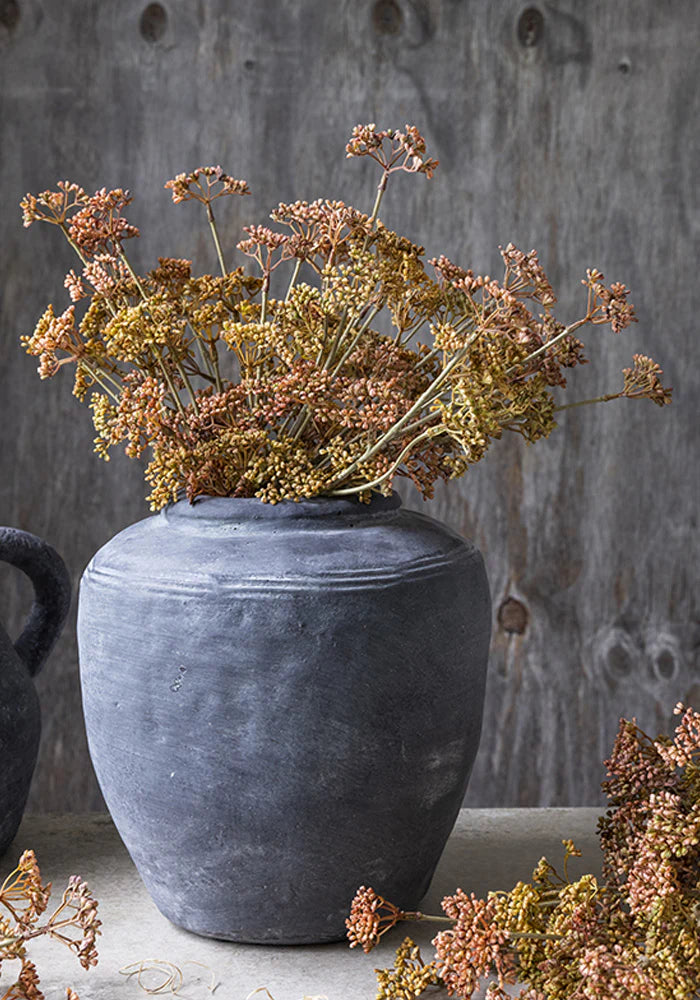 DIMM: Gerviblóm · Meadow sedge Sunset