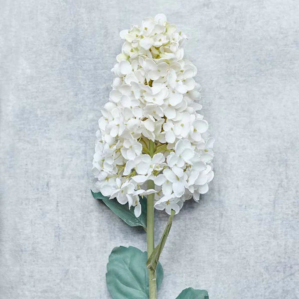 DIMM: Abigail Ahern gerviblóm · Hydrangea Paniculata Cream