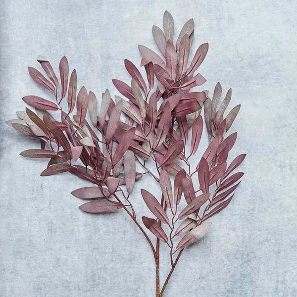 DIMM: Abigail Ahern gerviblóm · Ruscus leaf stem