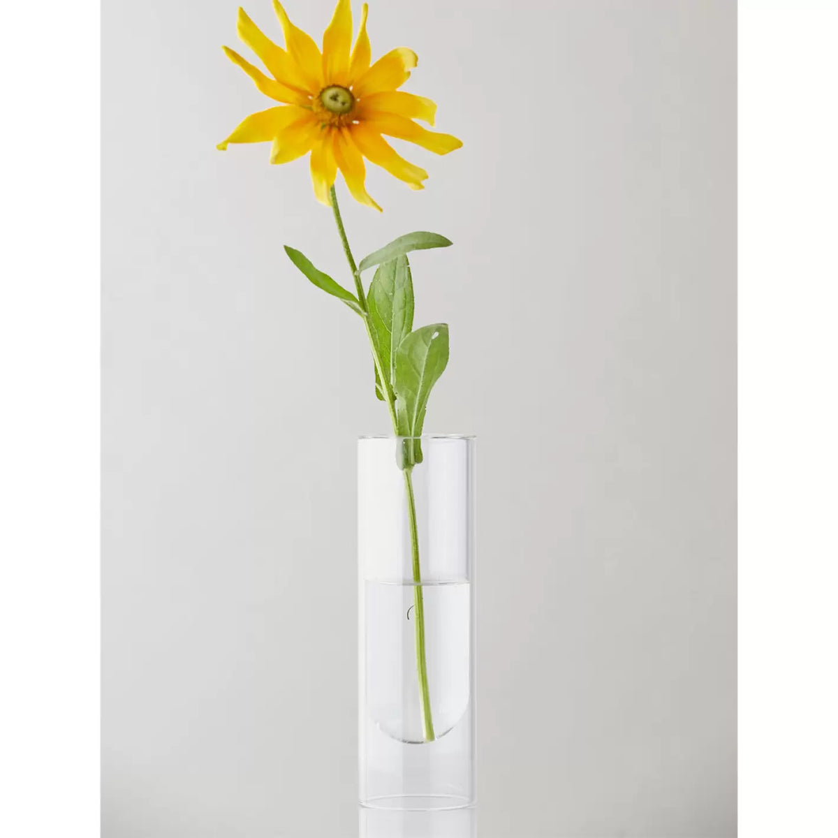 Flower tube · clear
