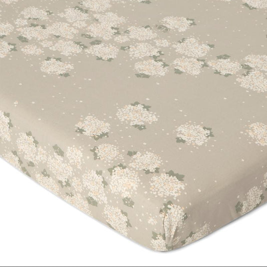 DIMM: Teygjulak · Dogwood