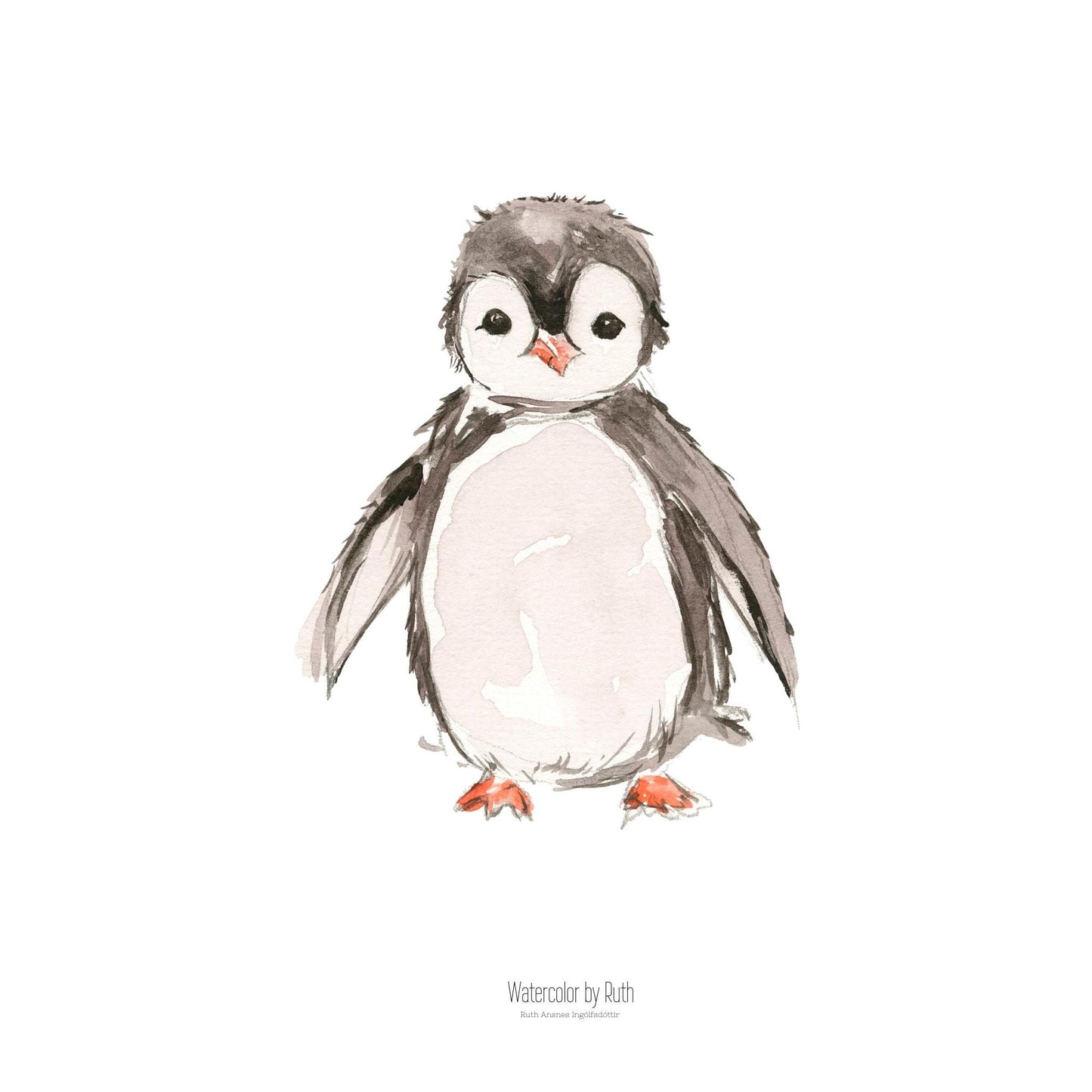 DIMM: Veggspjald · Mörgæs 30x40 cm