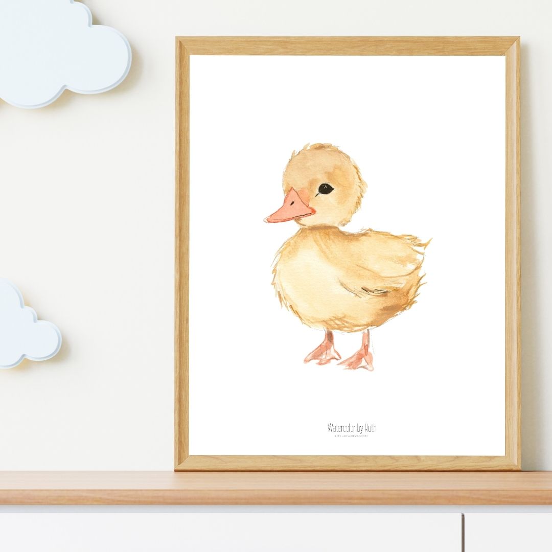 DIMM: Veggspjald · Önd 30x40 cm