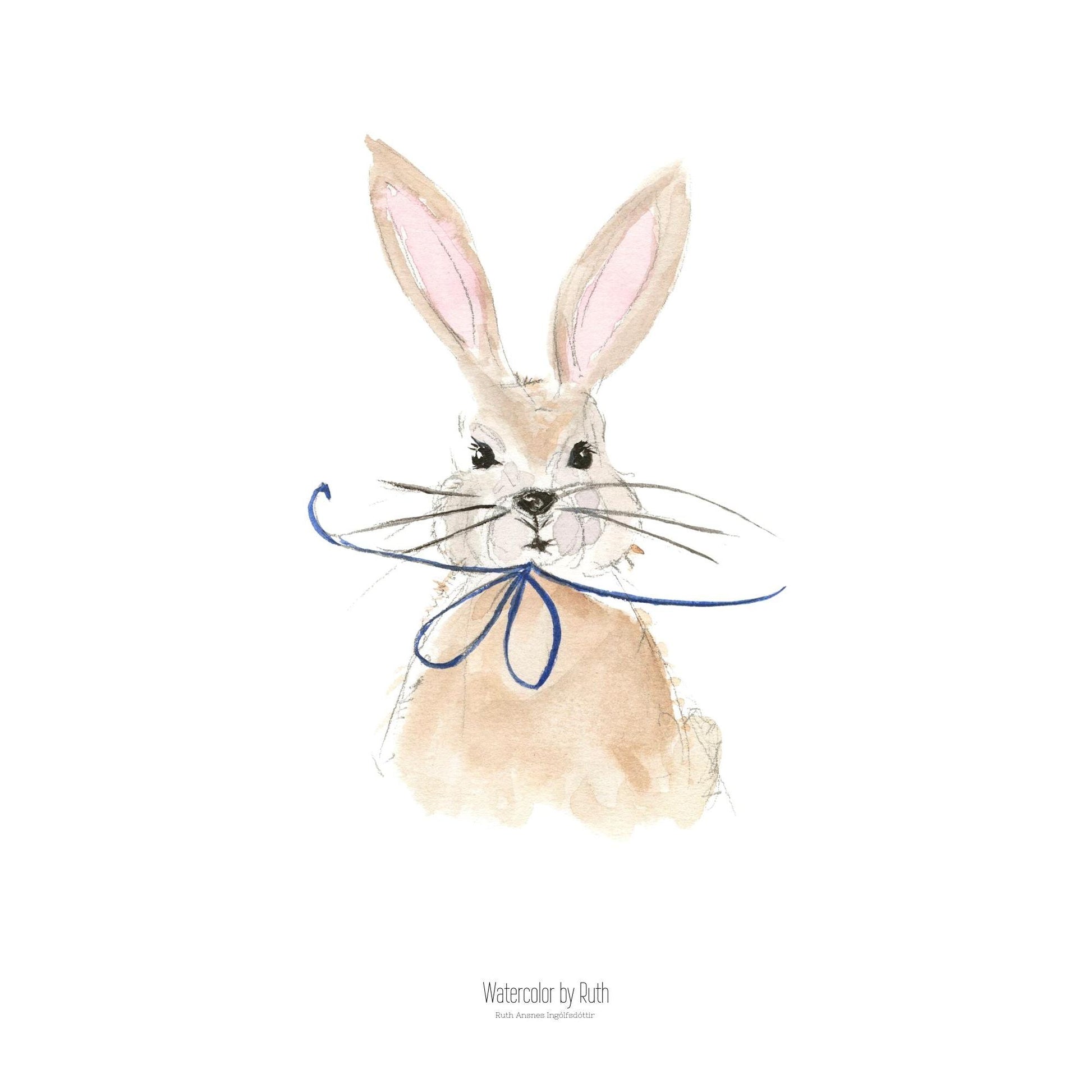 DIMM: Veggspjald · Kanína 30x40 cm