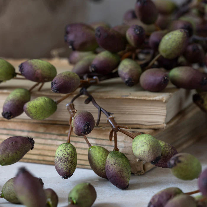 DIMM: Gerviblóm · Barberry