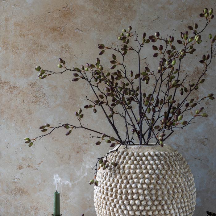 DIMM: Gerviblóm · Barberry