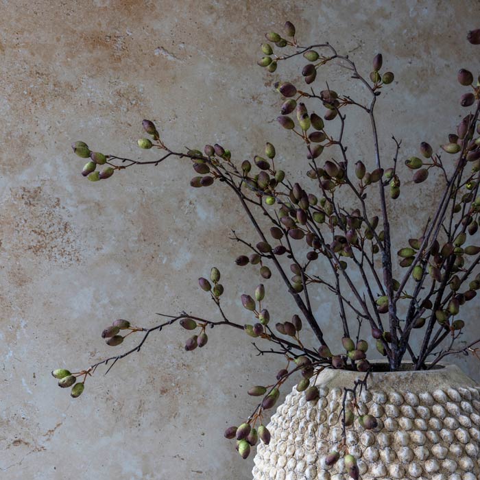 DIMM: Gerviblóm · Barberry