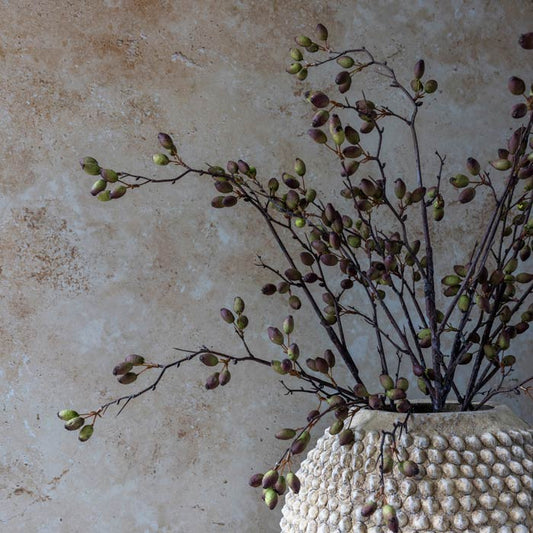 DIMM: Gerviblóm · Barberry