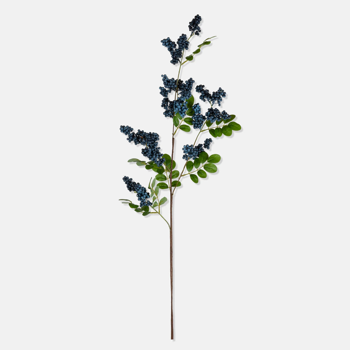 DIMM: Gerviblóm · Bilberry Branch