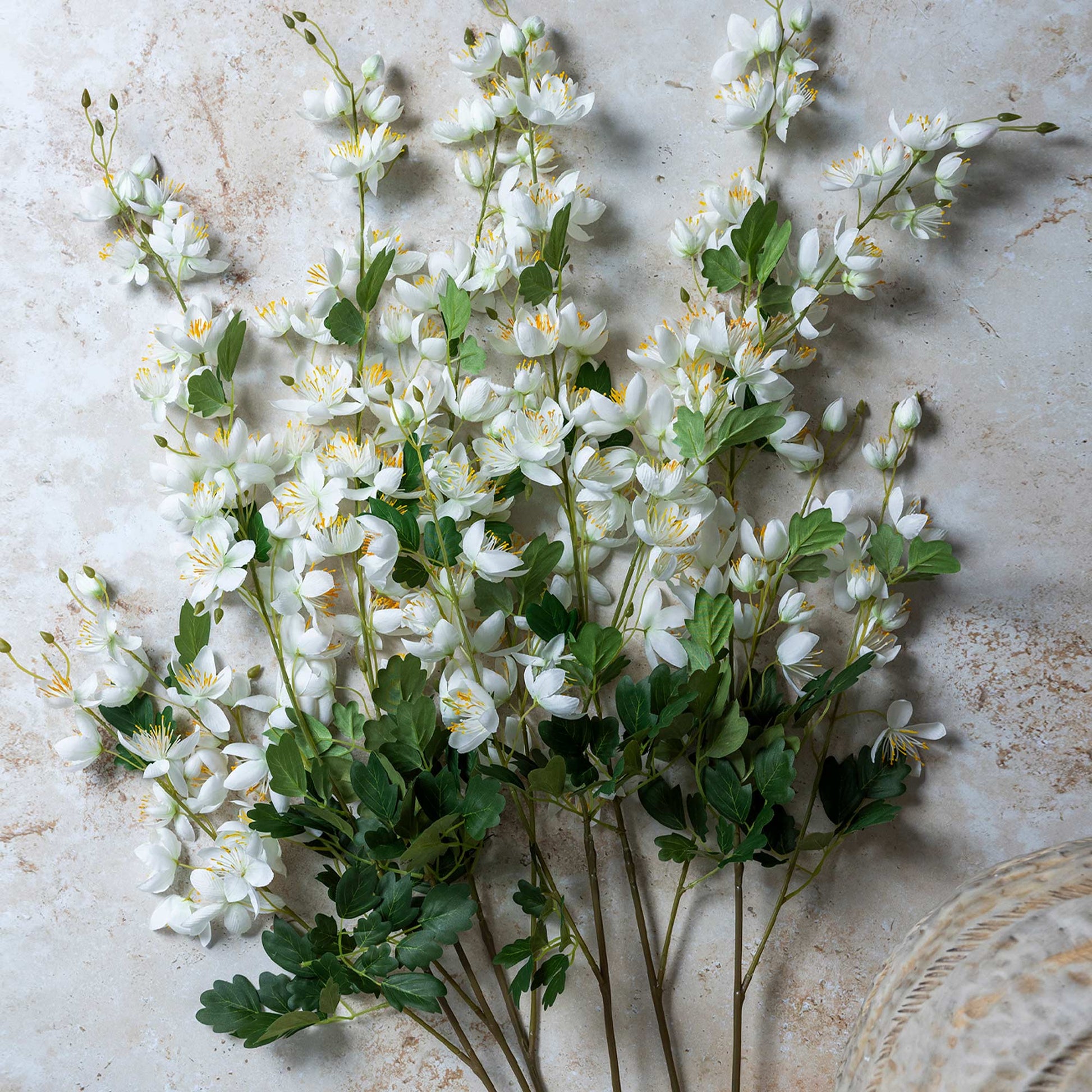 DIMM: Gerviblóm · Campanula · Cream