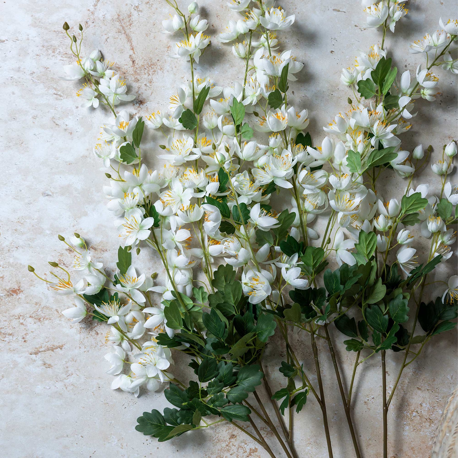 DIMM: Gerviblóm · Campanula · Cream
