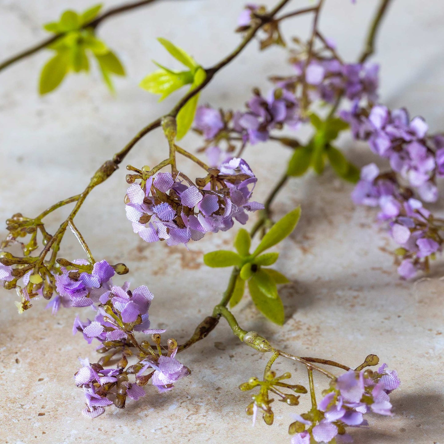 DIMM: Gerviblóm · Cherry Blossom Lilac