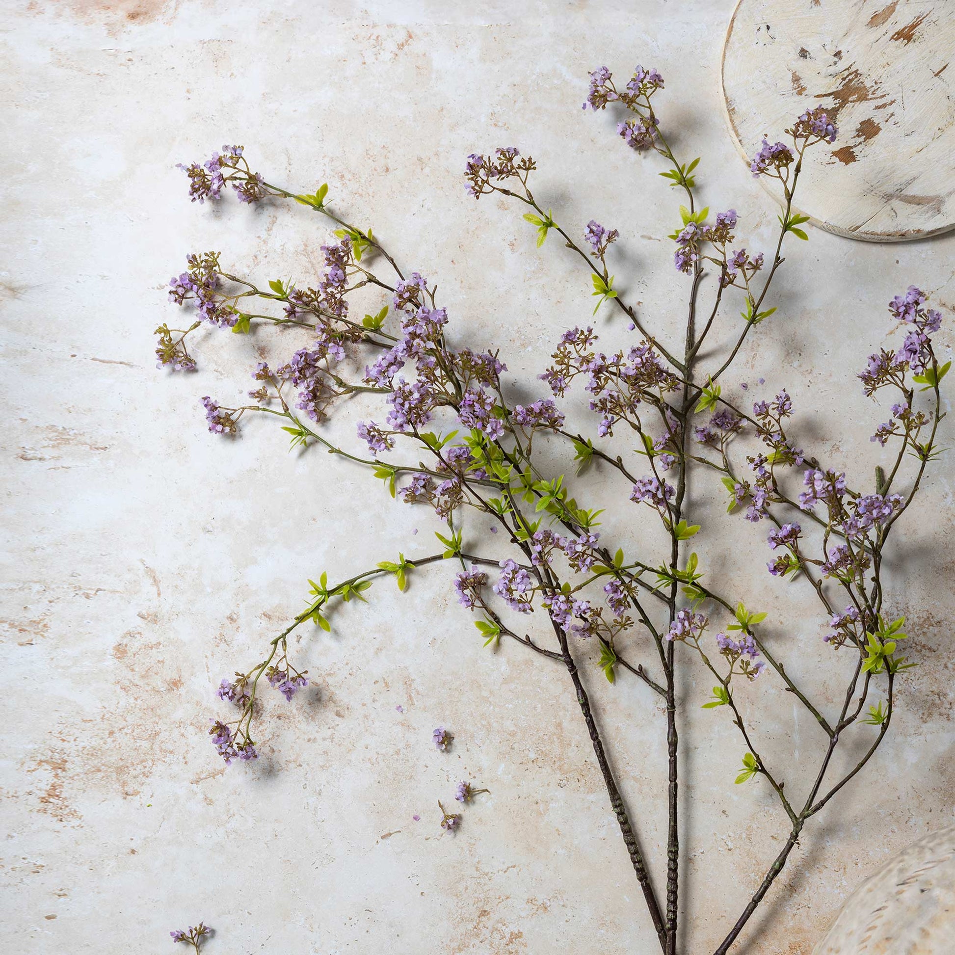 DIMM: Gerviblóm · Cherry Blossom Lilac