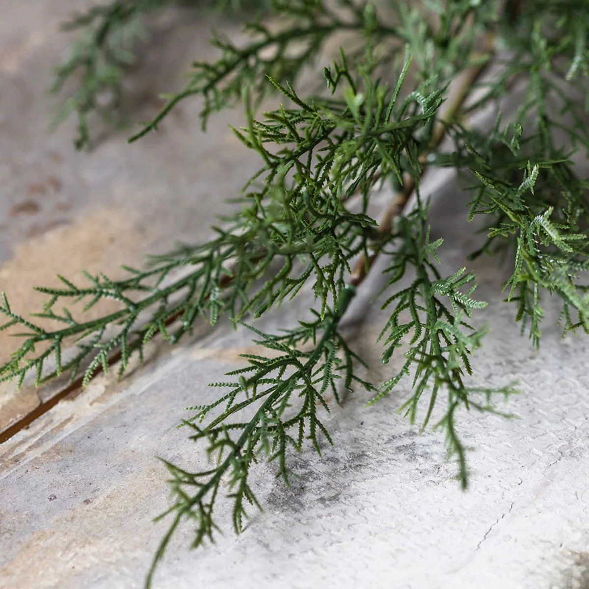 DIMM: Gerviblóm · Cypress Branch