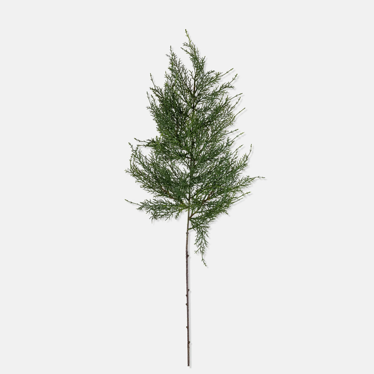 DIMM: Gerviblóm · Cypress Branch