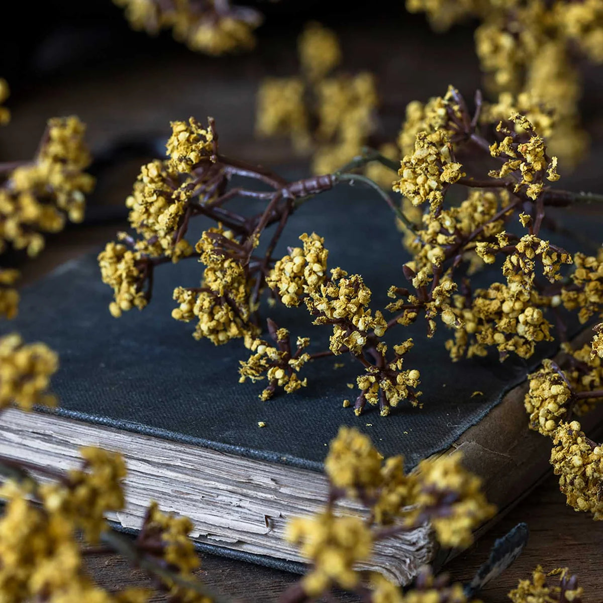 DIMM: Gerviblóm · Dogwood Bough