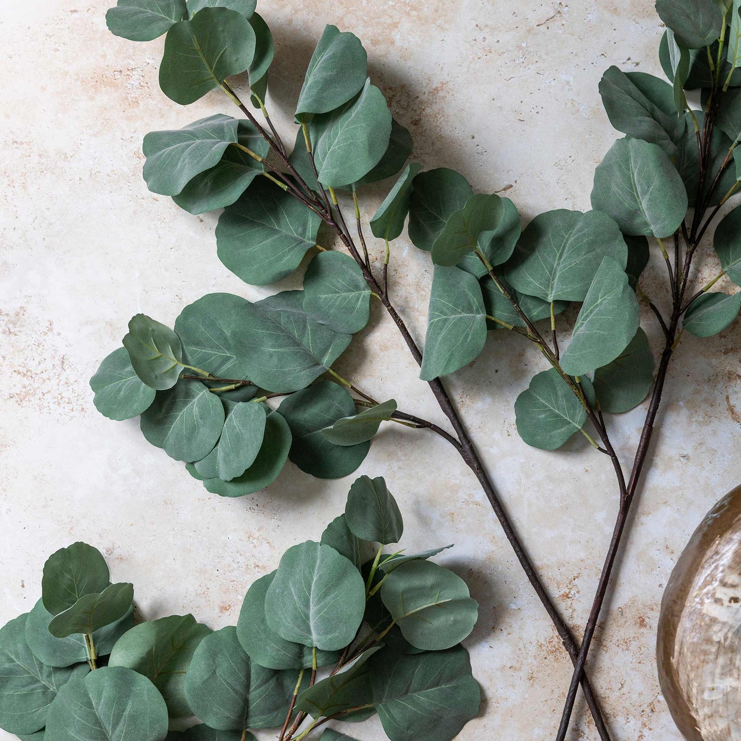 DIMM: Gerviblóm · Eucalyptus Silver Dollar