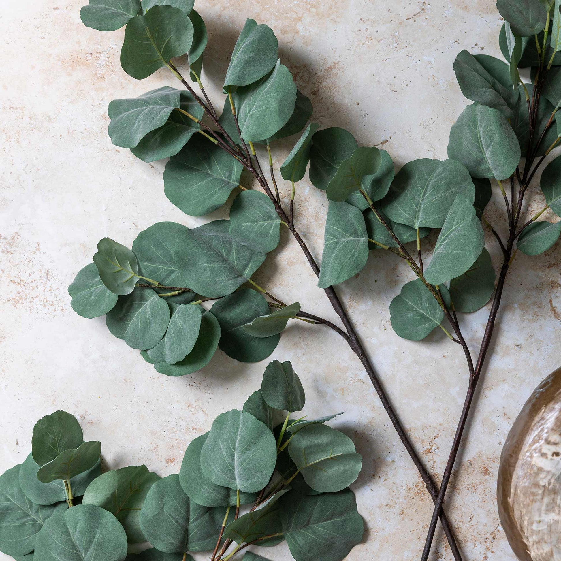 DIMM: Gerviblóm · Eucalyptus Silver Dollar